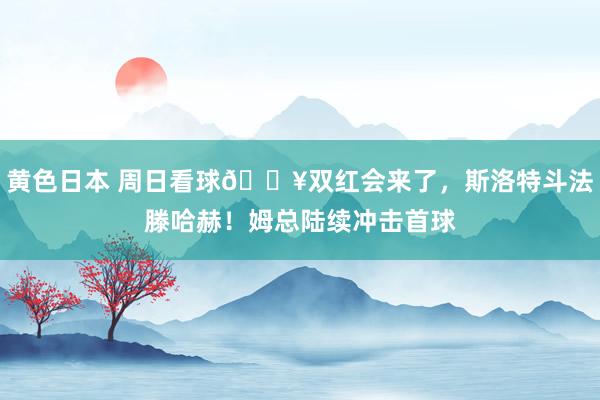 黄色日本 周日看球🔥双红会来了，斯洛特斗法滕哈赫！姆总陆续冲击首球
